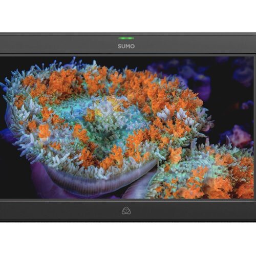 Atomos Sumo 19SE