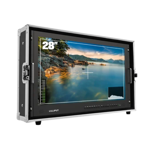 Director's Monitors