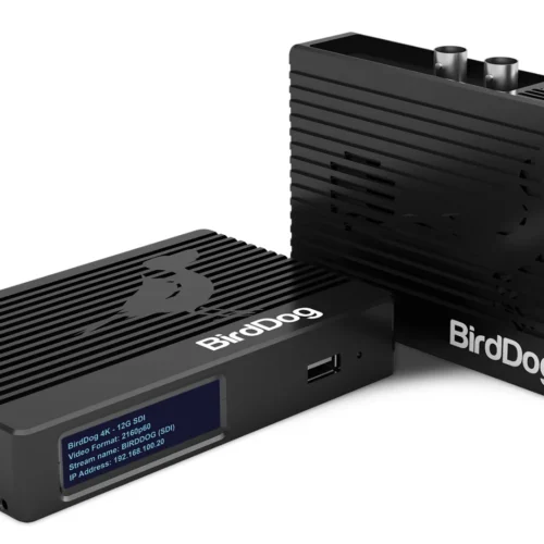 Birddog 4K SDI